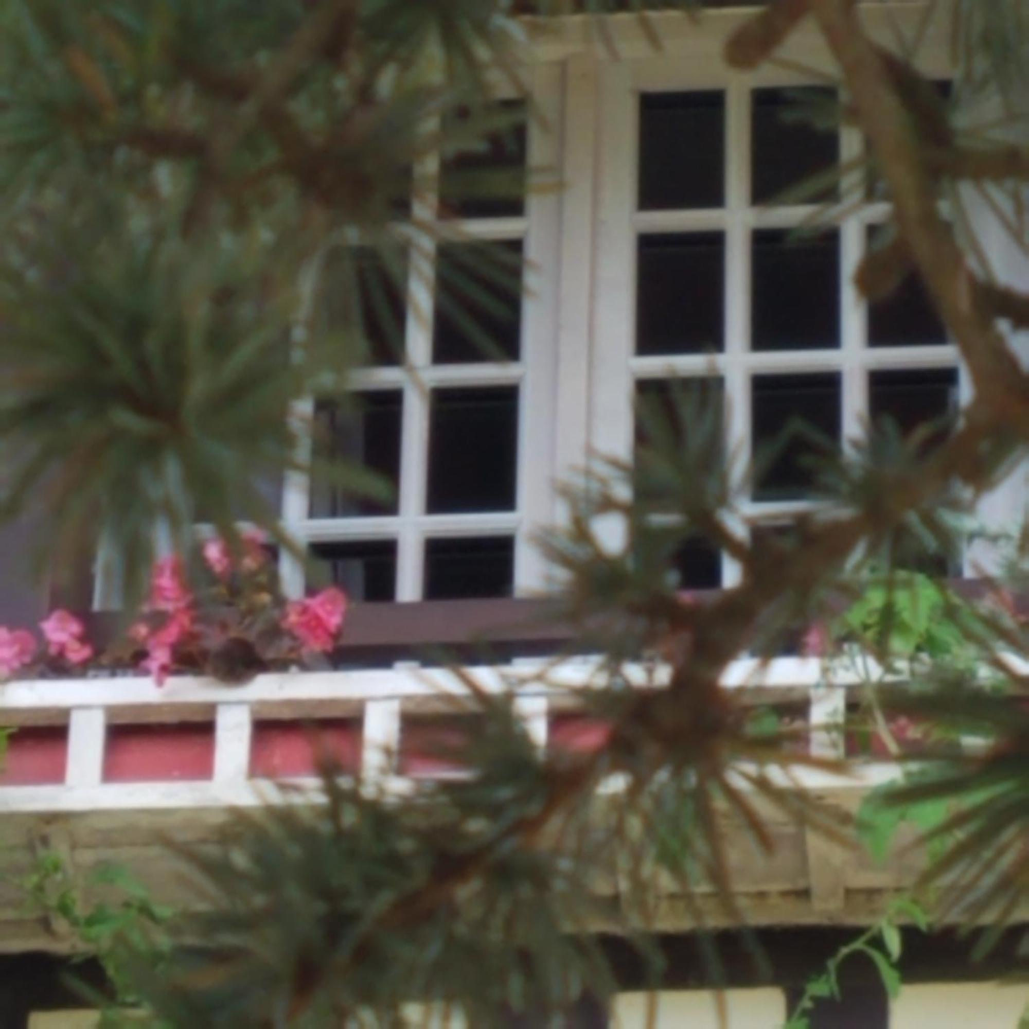 Appartement Le vieux pré de la motte à Villers-sur-Mer Extérieur photo
