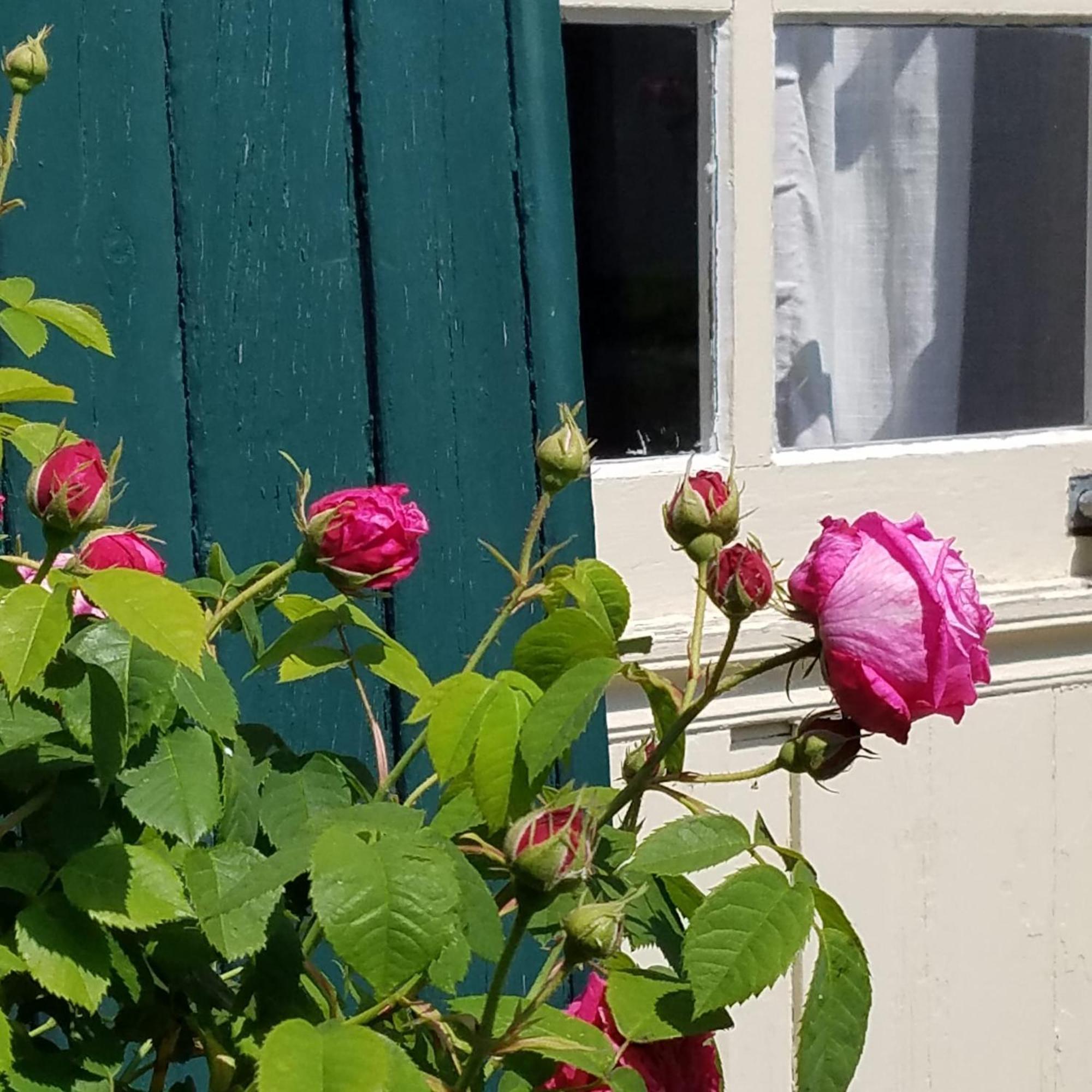 Appartement Le vieux pré de la motte à Villers-sur-Mer Chambre photo